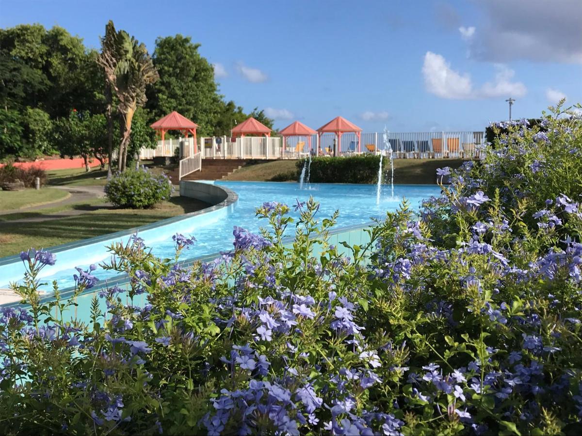Coeur Tiare Studio Lounge Piscine Plage Cocotiers サン・フランソワ エクステリア 写真